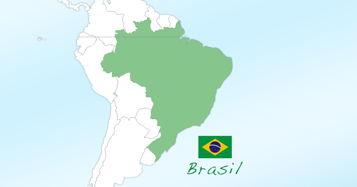 カンピオナート ブラジレイロ ブラジル全国選手権 19 Cartao Amarelo 中南米サッカーサイト